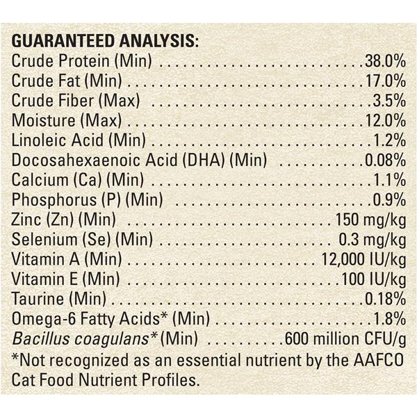 beyond kitten food